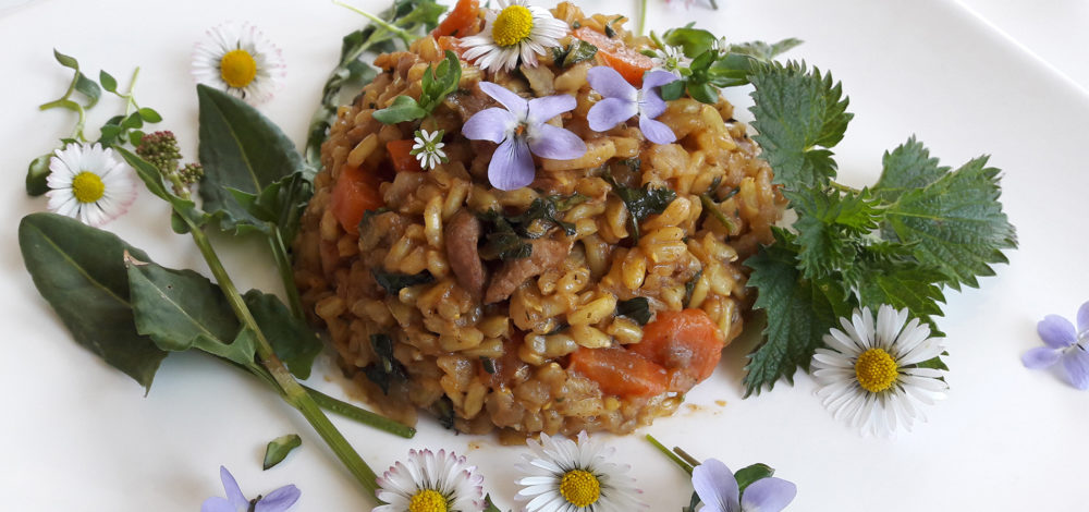 Wildkräuter Risotto