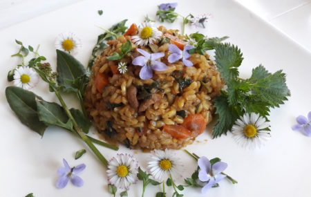 Wildkräuter Risotto